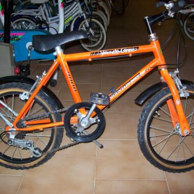 Mountain bike bambino del 1990