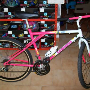 Mountain bike NUOVA del 1990